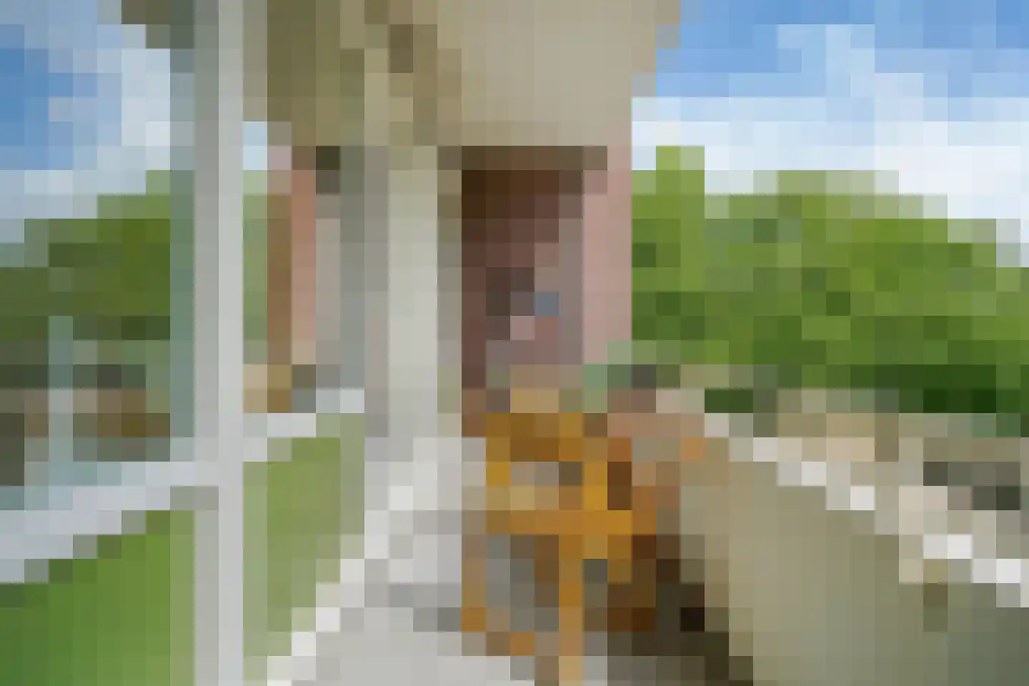 Schotlandstraat 252 Haarlem thumbnail 31