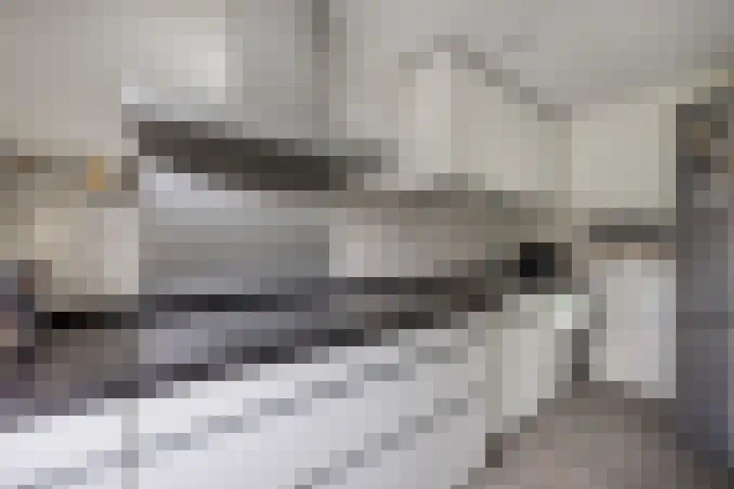 Schotlandstraat 254 Haarlem thumbnail 22