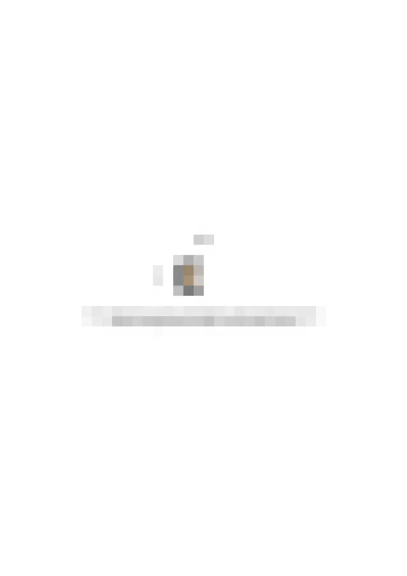 Schotlandstraat 254 Haarlem thumbnail 38