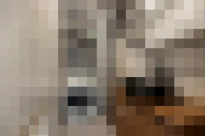 Schotlandstraat 56 Haarlem thumbnail 8