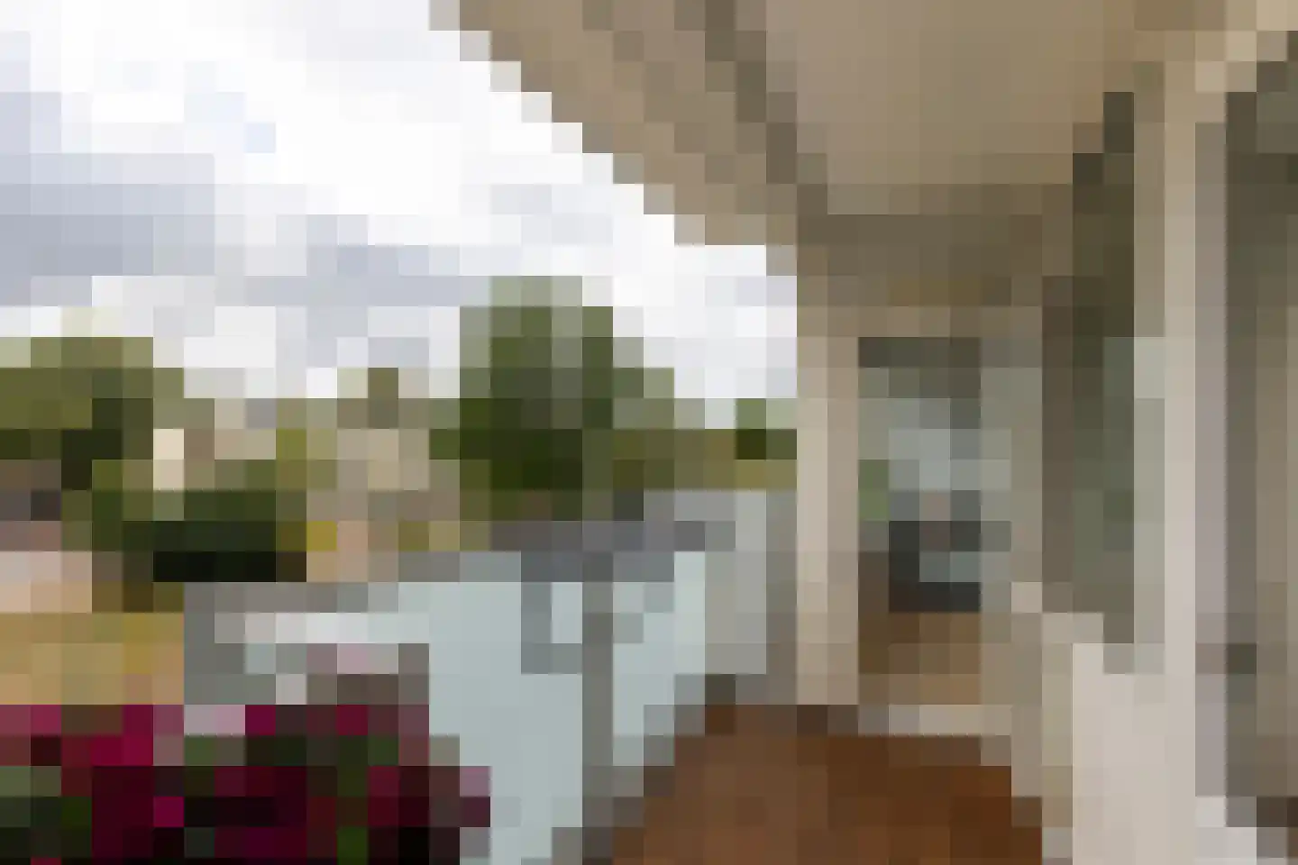 Schotlandstraat 78 Haarlem thumbnail 17