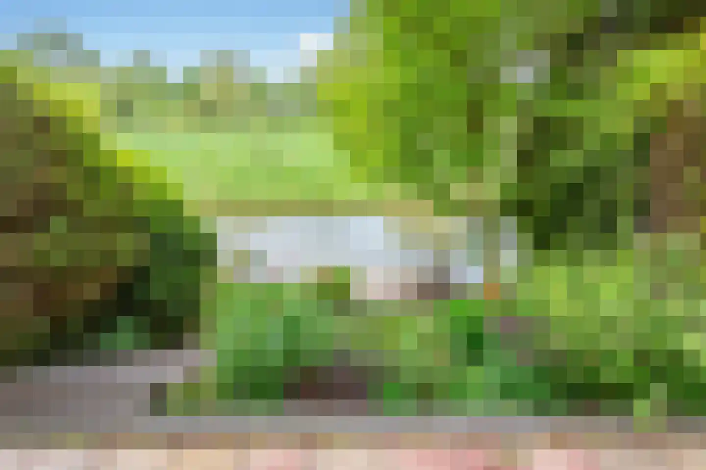 Schotse Hooglanden 20 Amsterdam thumbnail 14