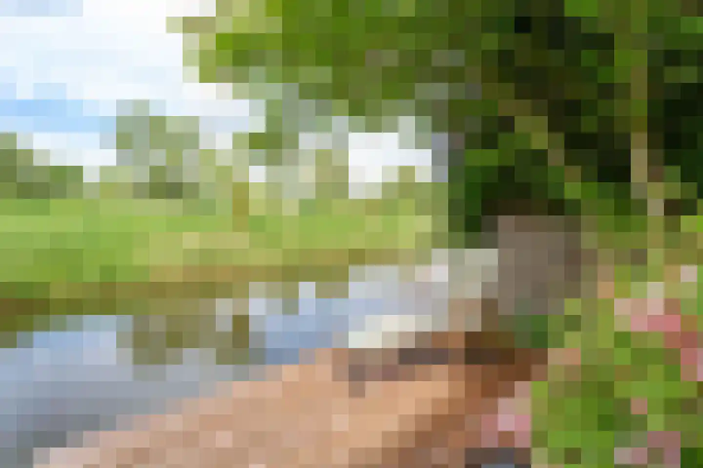 Schotse Hooglanden 20 Amsterdam thumbnail 16