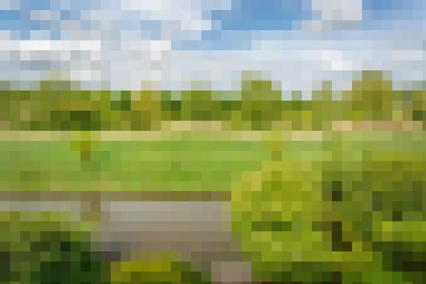 Schotse Hooglanden 20 Amsterdam thumbnail 25