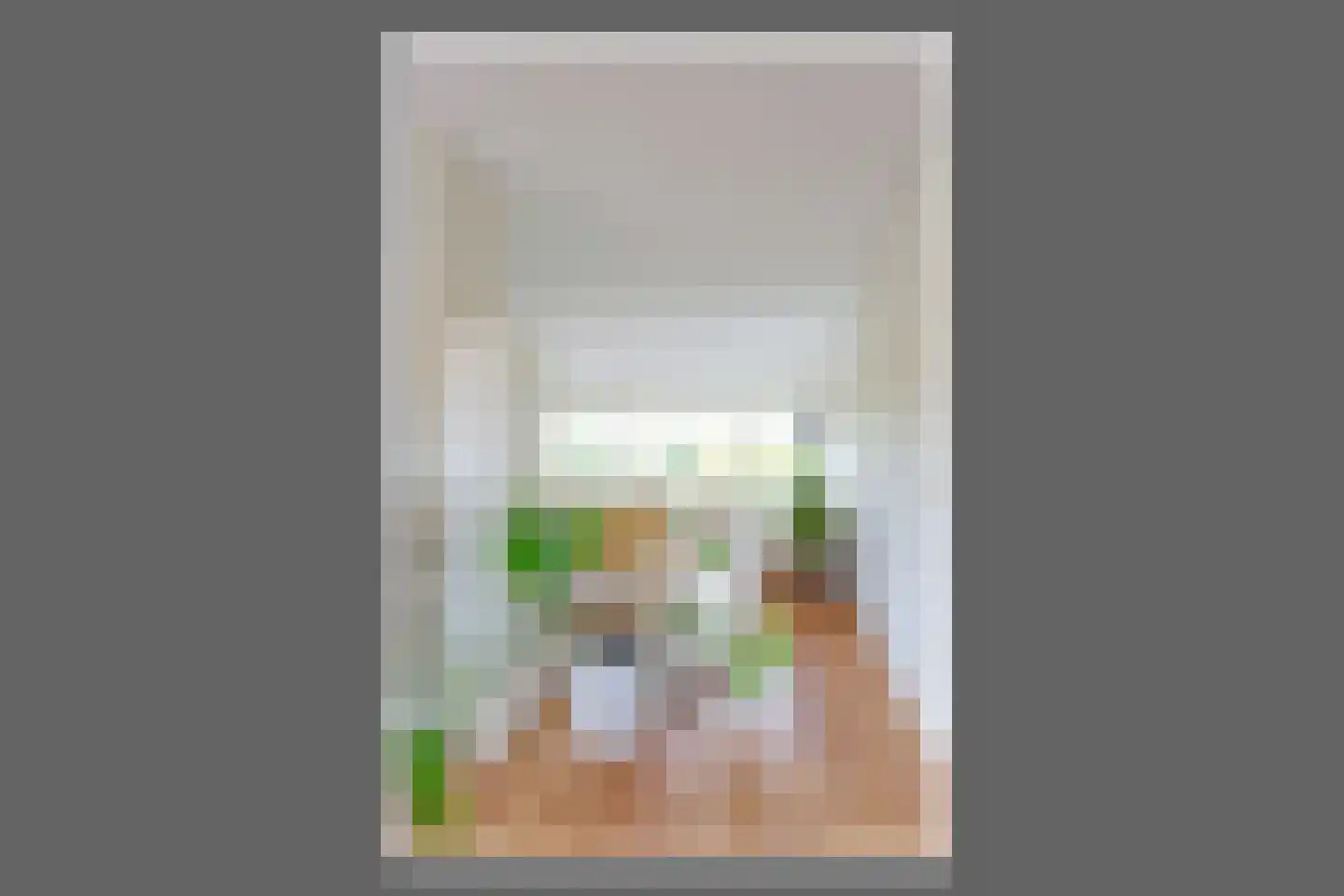 Schotse Hooglanden 20 Amsterdam thumbnail 33
