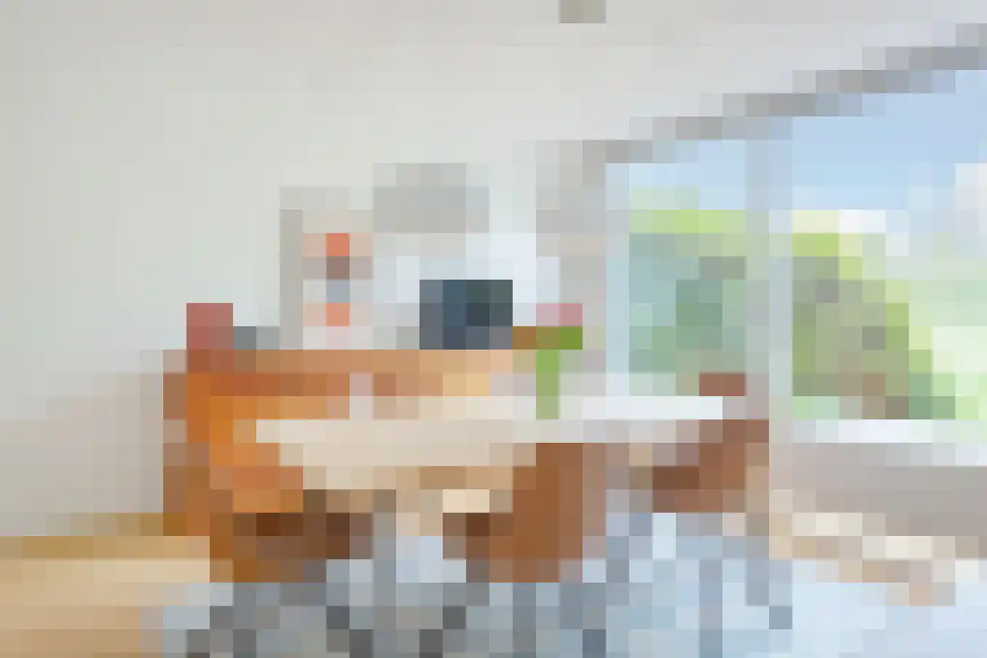 Schotse Hooglanden 20 Amsterdam thumbnail 6