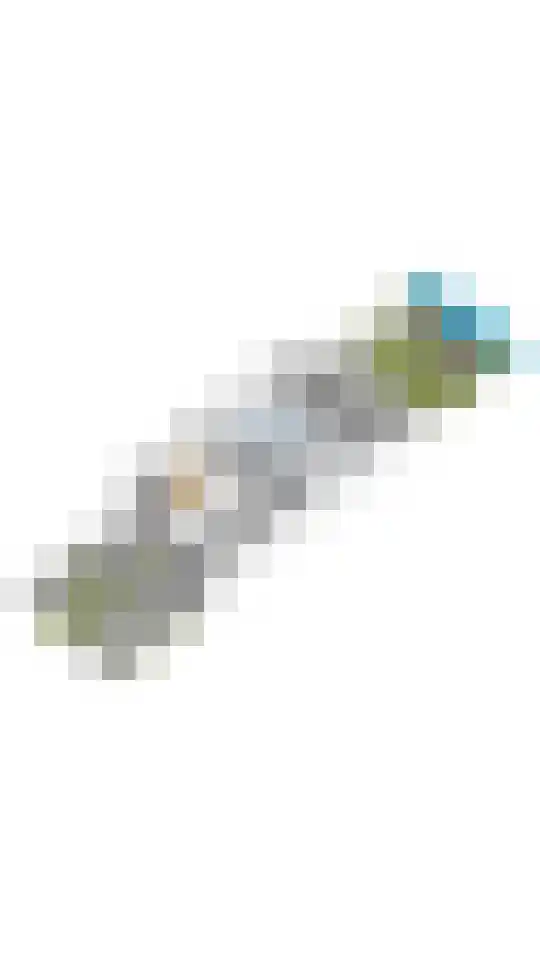 Schotse Hooglanden 20 Amsterdam thumbnail 68