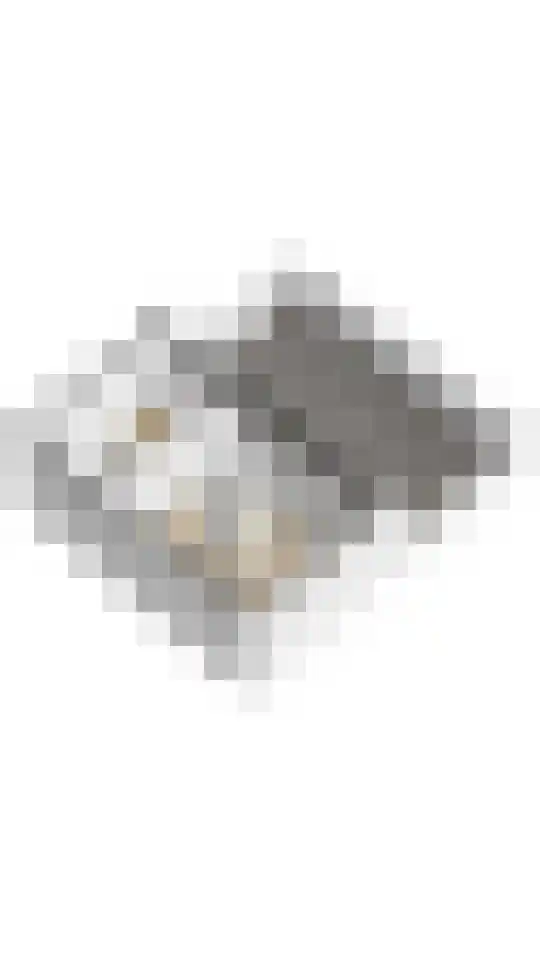 Schotse Hooglanden 20 Amsterdam thumbnail 71