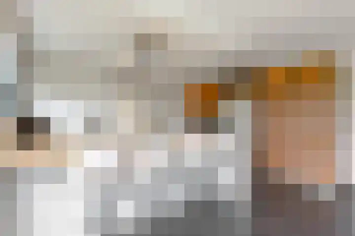 Schotse Hooglanden 40 Amsterdam thumbnail 13