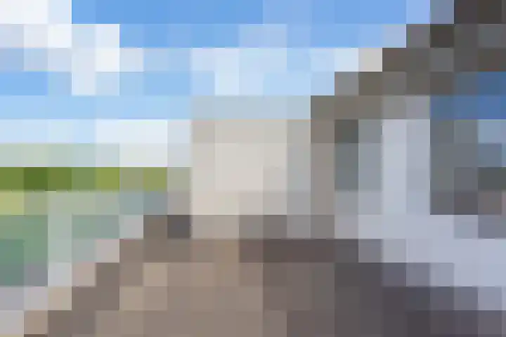 Schotse Hooglanden 40 Amsterdam thumbnail 45
