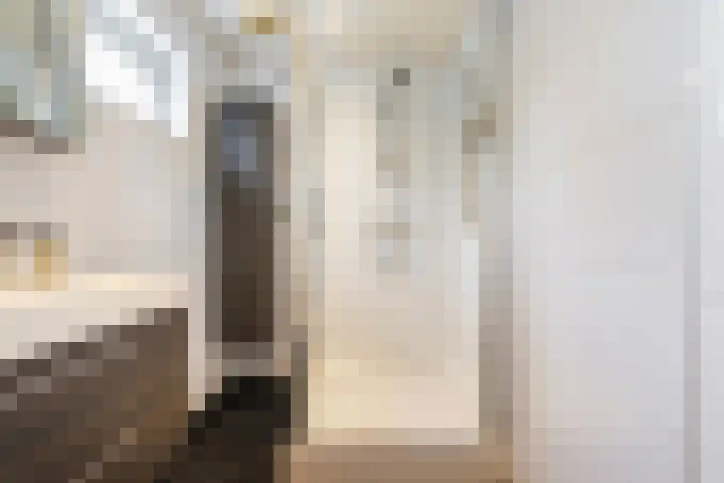 Schotse Hooglandersstraat 25 Waspik thumbnail 17