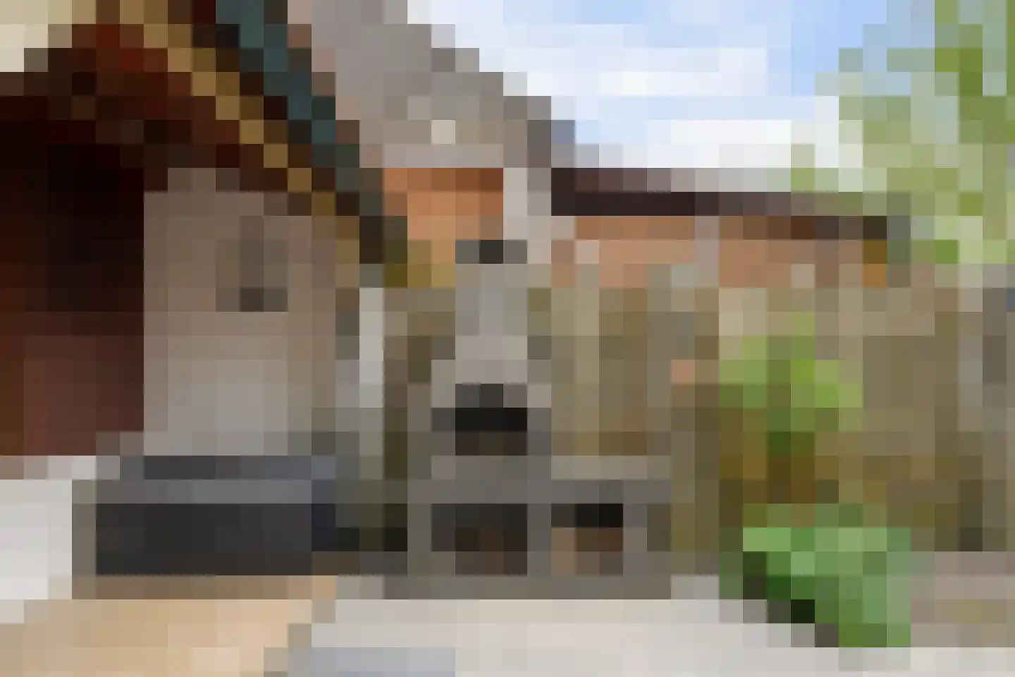 Schotse Hooglandersstraat 25 Waspik thumbnail 30