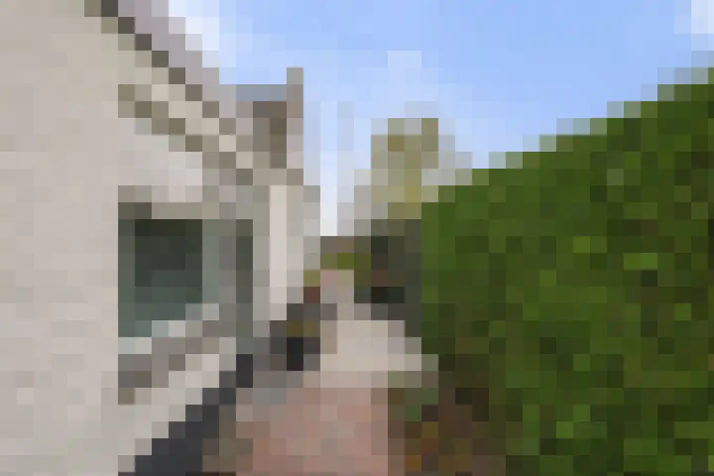 Schotse Hooglandersstraat 25 Waspik thumbnail 6