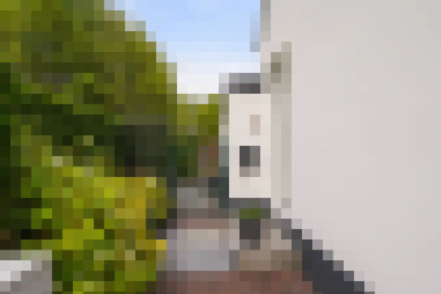 Schotse Hooglandersstraat 25 Waspik thumbnail 7