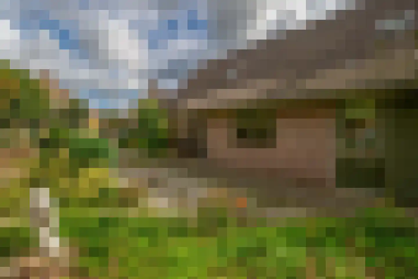 Schotse Hooglandersstraat 8 Waspik thumbnail 22