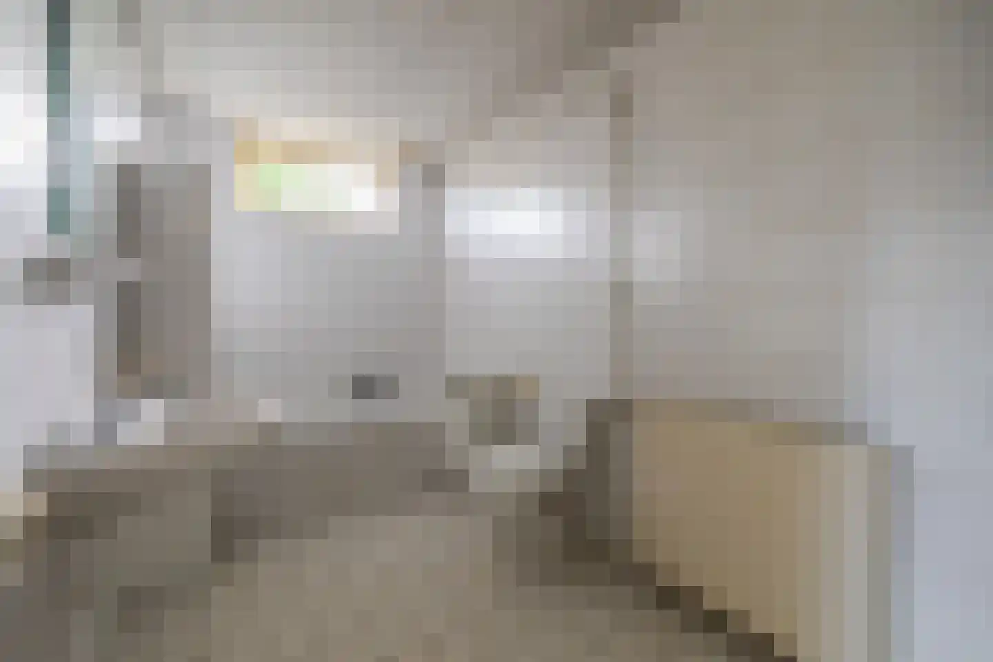 Schotse Hooglandersstraat 8 Waspik thumbnail 30