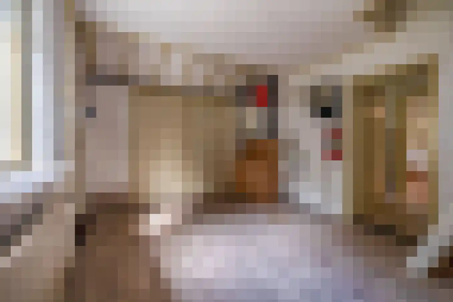 Schotse Hooglandersstraat 8 Waspik thumbnail 33