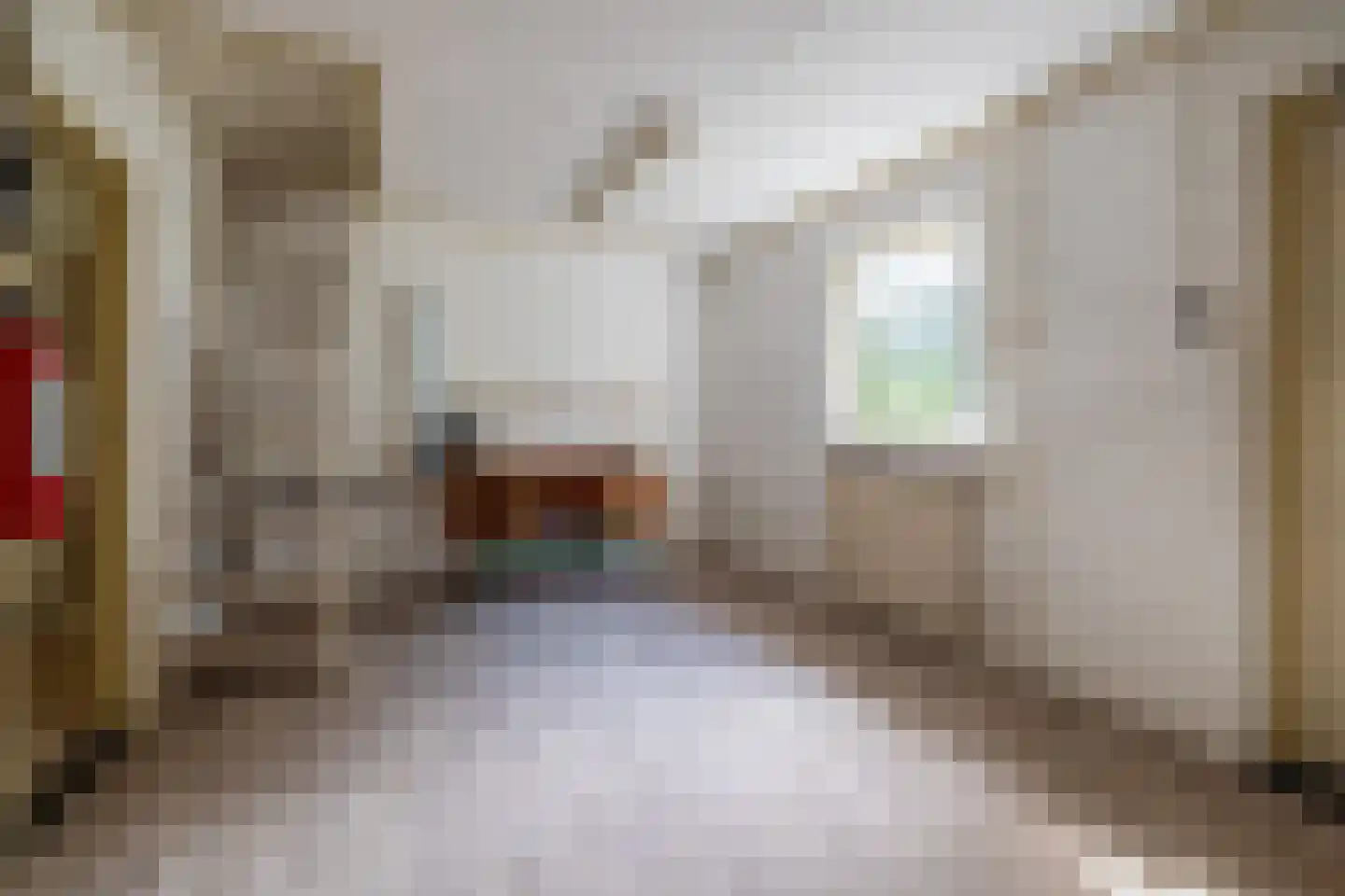 Schotse Hooglandersstraat 8 Waspik thumbnail 34