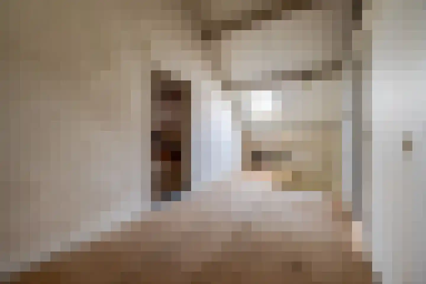 Schotse Hooglandersstraat 8 Waspik thumbnail 35
