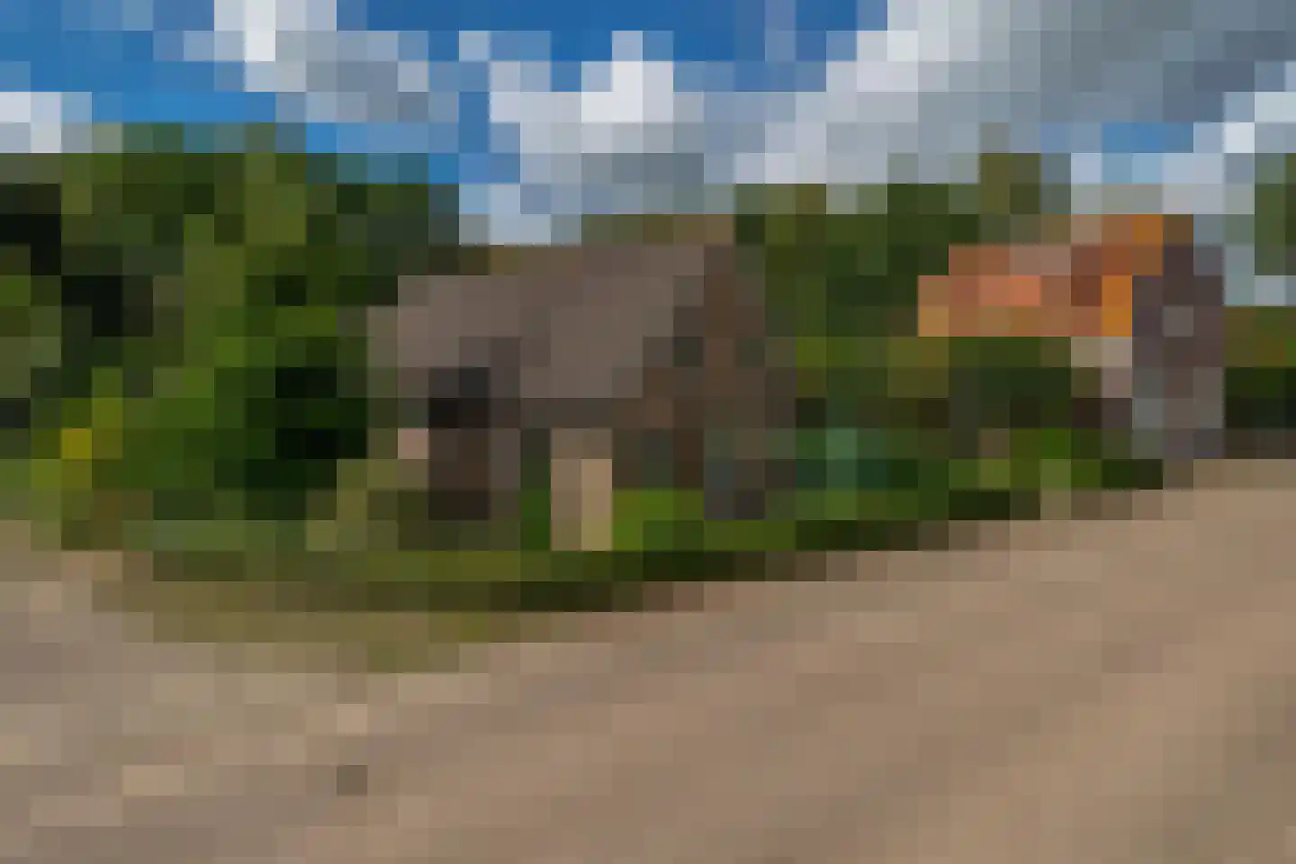 Schotse Hooglandersstraat 8 Waspik thumbnail 5