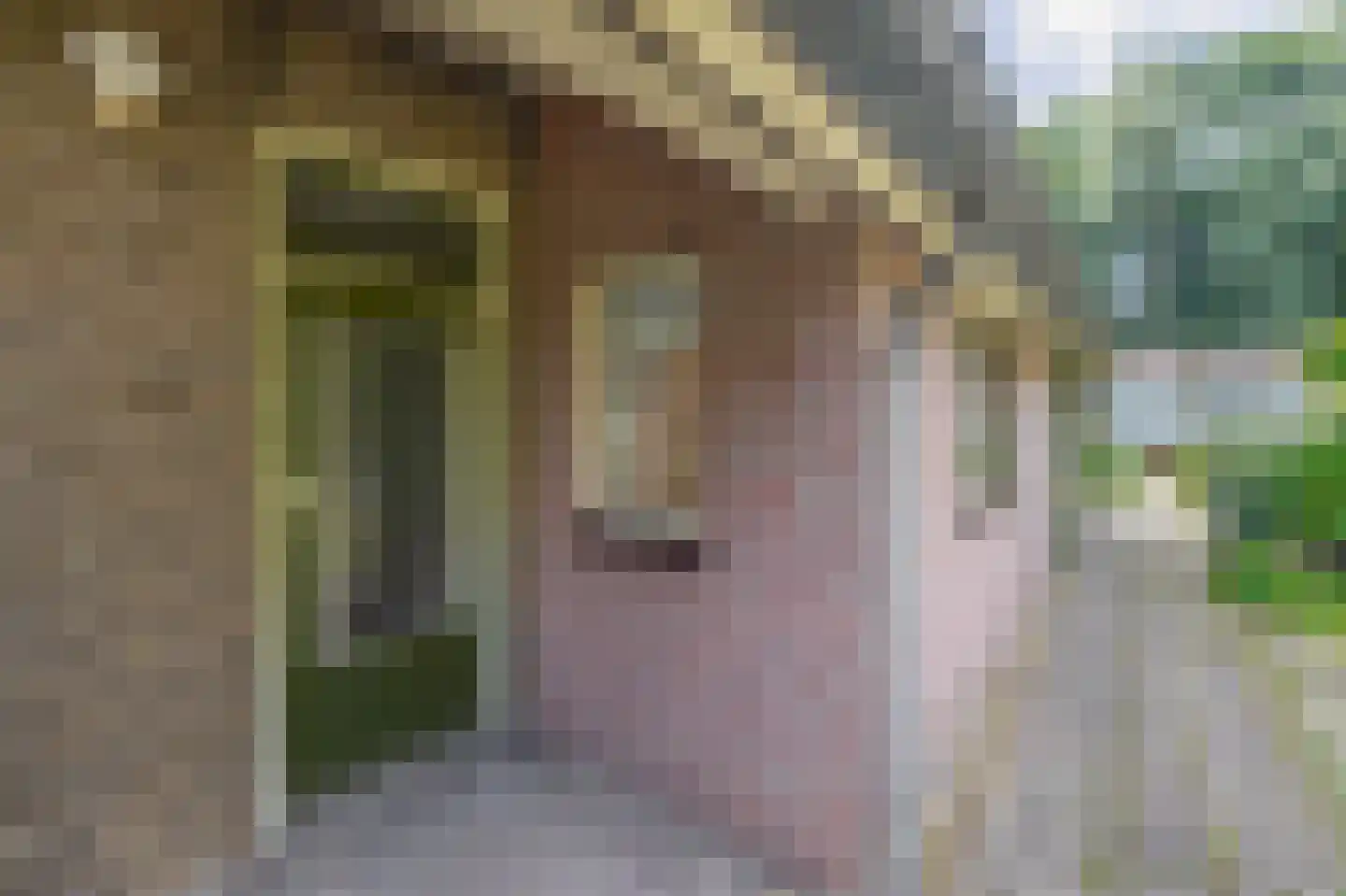 Schotse Hooglandersstraat 8 Waspik thumbnail 7