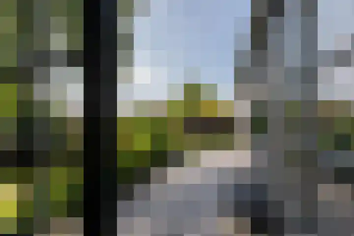 Schotsehoek 5 Gapinge thumbnail 14