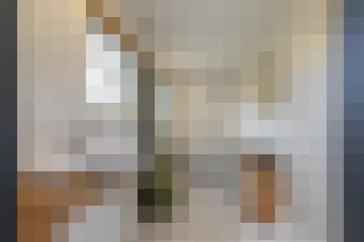 Schotsehoek 5 Gapinge thumbnail 15