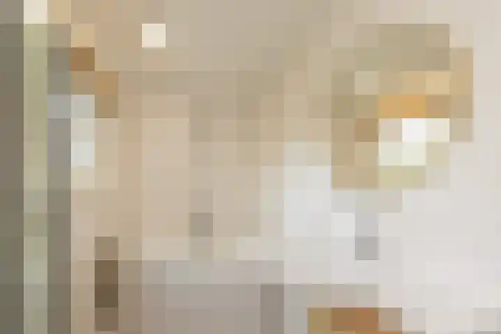 Schotsehoek 5 Gapinge thumbnail 16
