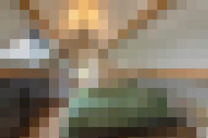 Schotsehoek 5 Gapinge thumbnail 20