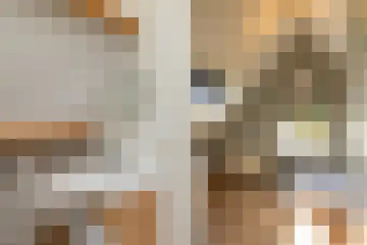 Schotsehoek 5 Gapinge thumbnail 22