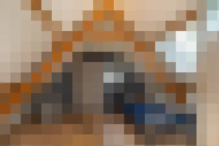 Schotsehoek 5 Gapinge thumbnail 24