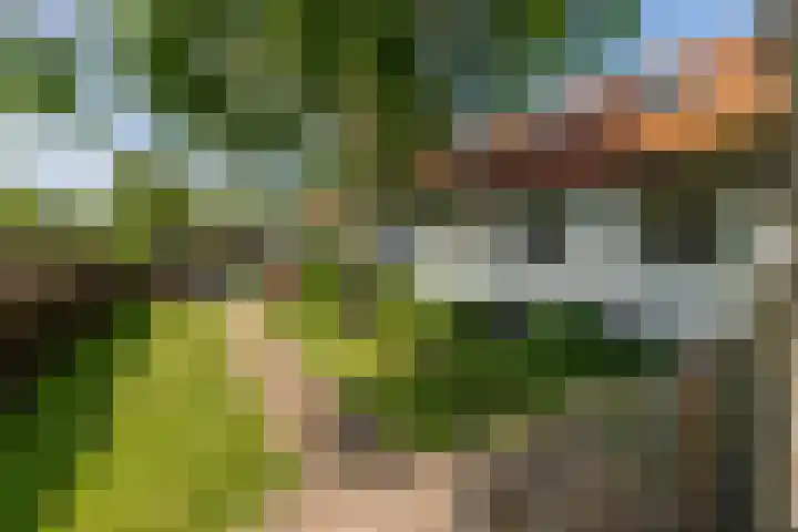 Schotsehoek 5 Gapinge thumbnail 31