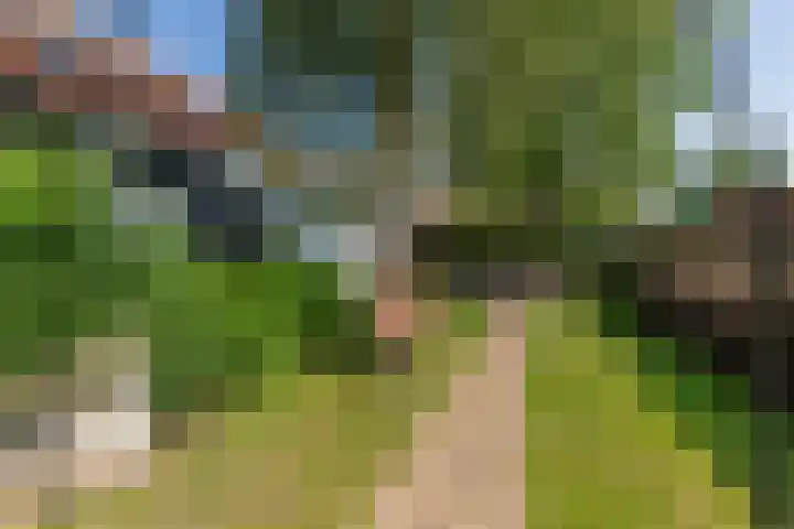 Schotsehoek 5 Gapinge thumbnail 32