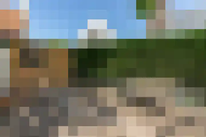 Schotsehoek 5 Gapinge thumbnail 33