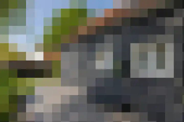 Schotsehoek 5 Gapinge thumbnail 34