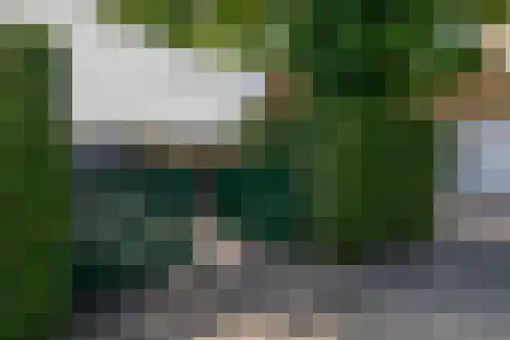 Schotsehoek 5 Gapinge thumbnail 35