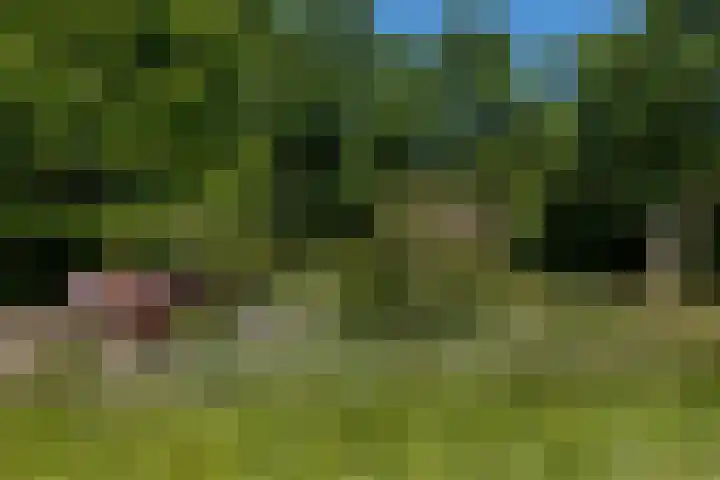 Schotsehoek 5 Gapinge thumbnail 39