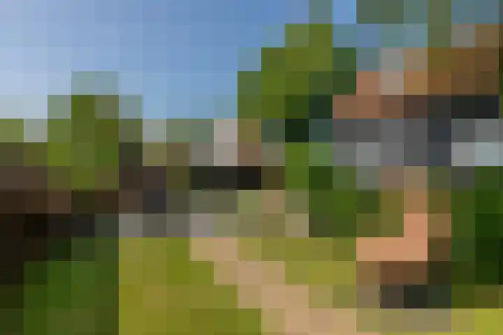 Schotsehoek 5 Gapinge thumbnail 4