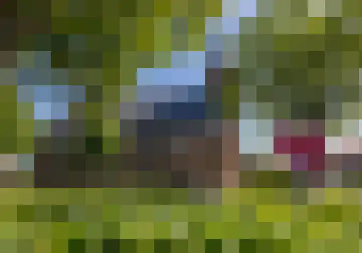 Schotsehoek 5 Gapinge thumbnail 40