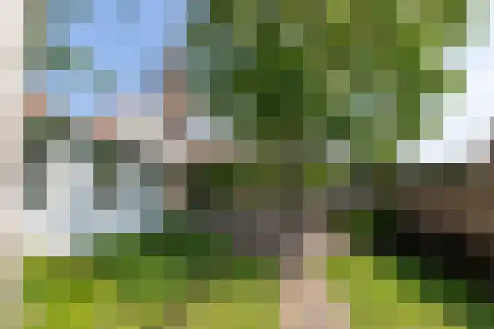 Schotsehoek 5 Gapinge thumbnail 5