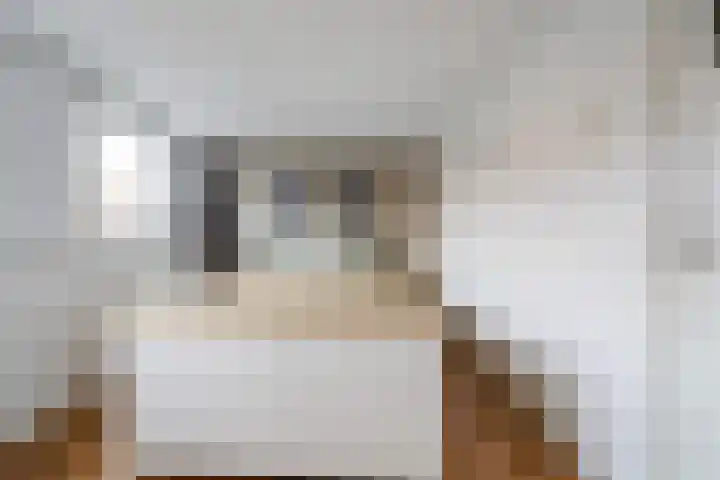 Schotsestraat 7 Waalwijk thumbnail 16
