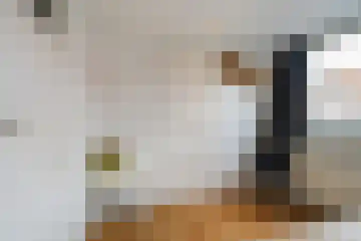 Schotsestraat 7 Waalwijk thumbnail 17
