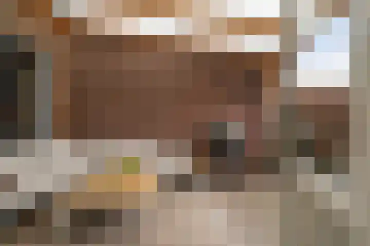 Schotsestraat 7 Waalwijk thumbnail 23