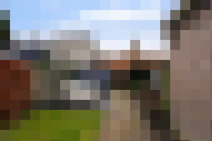 Schotsestraat 7 Waalwijk thumbnail 25