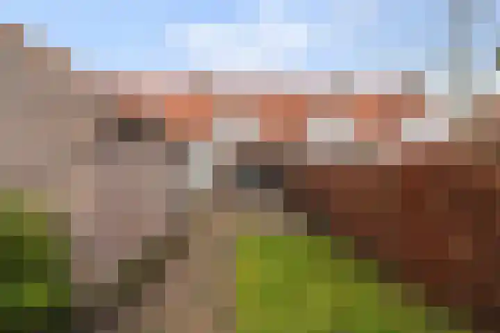 Schotsestraat 7 Waalwijk thumbnail 26