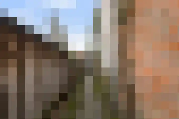 Schotsestraat 7 Waalwijk thumbnail 28