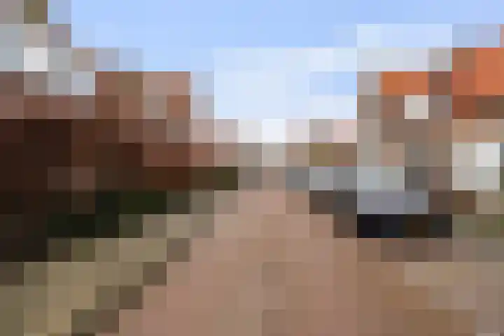 Schotsestraat 7 Waalwijk thumbnail 29