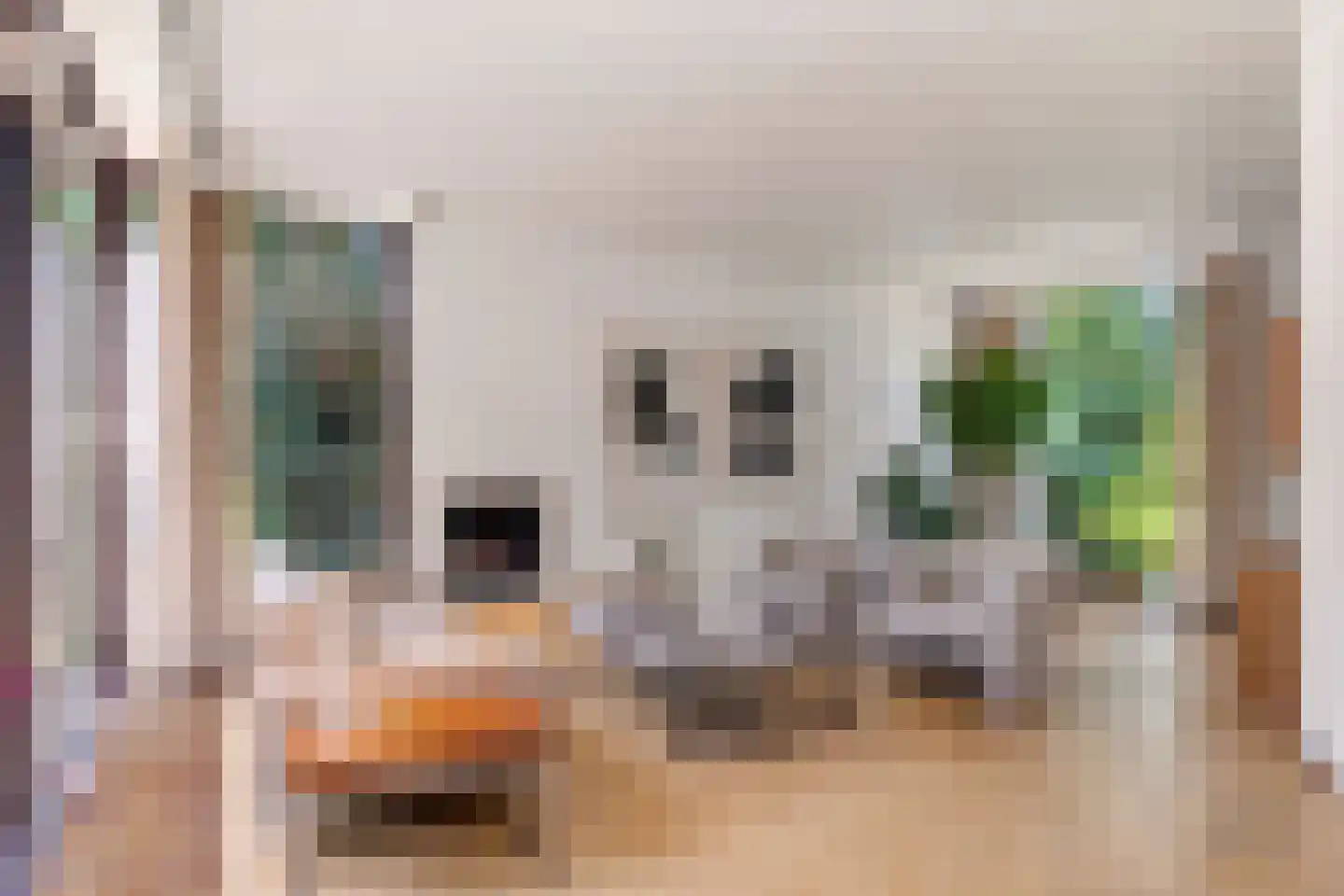 Schotsmanlaan 7 Dieren thumbnail 11