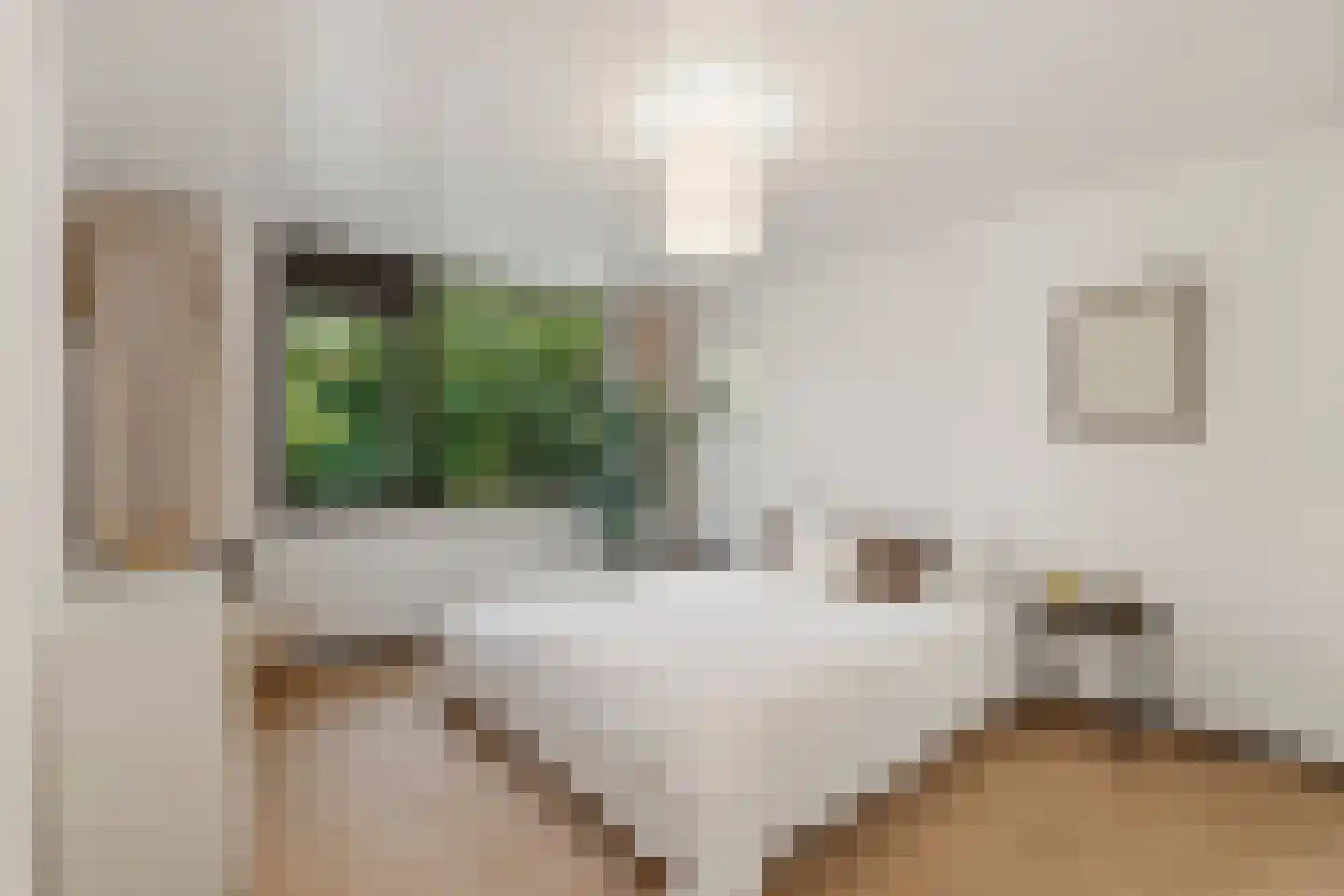 Schotsmanlaan 7 Dieren thumbnail 20