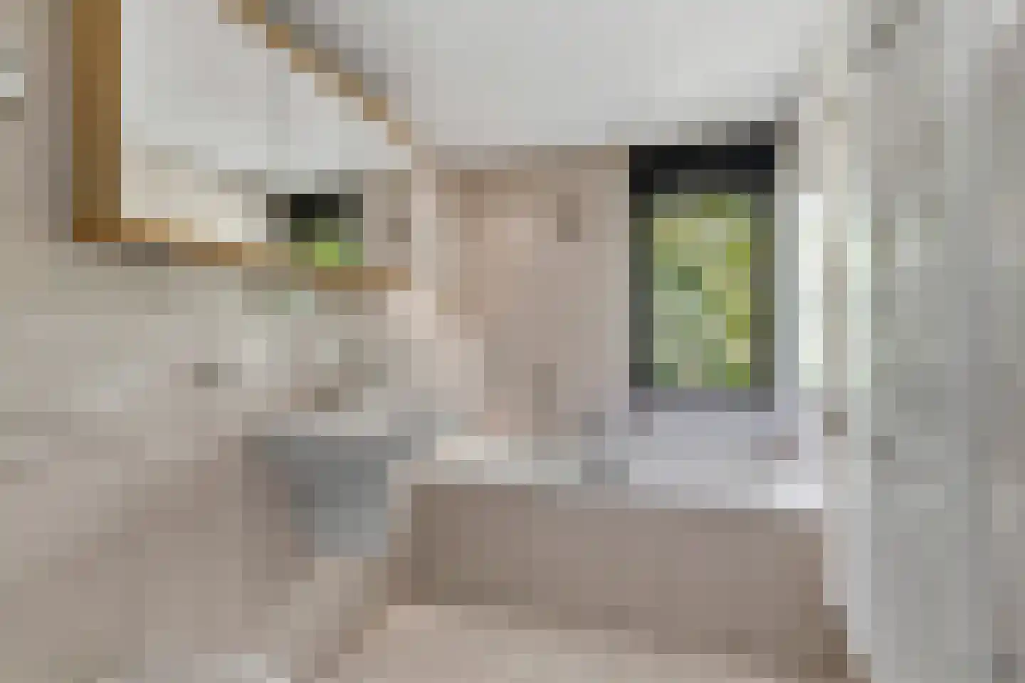 Schotsmanlaan 7 Dieren thumbnail 22